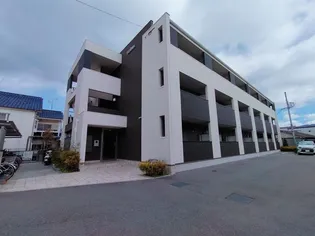 ドミソレイユIIの画像