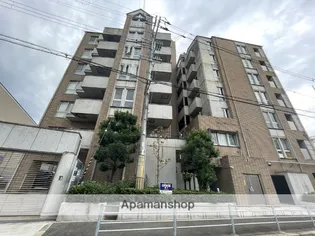 STムアナの画像