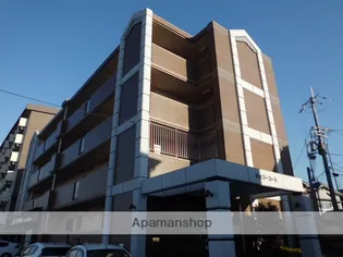 チェリーコートの画像