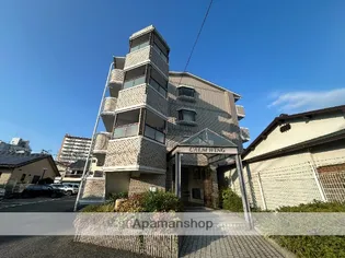 カームウイングの画像