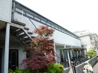 メルベーユ【207号室】の外観