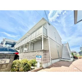 アムール八籏の画像