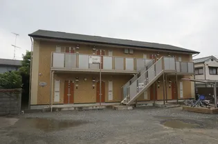 カンフォーラの画像