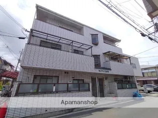 ハイデンス石津【1階】の外観