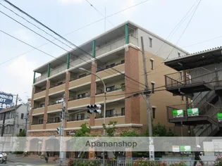 サザンクロスの画像