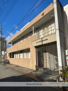 フラットコート中島の画像