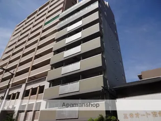 グラシアス中島の画像