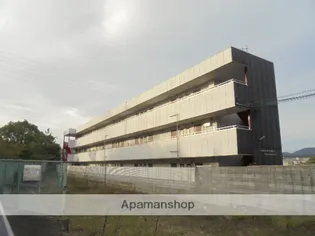 大阪府高槻市郡家本町【マンション】の外観