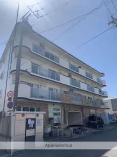 メリッサ錦の画像