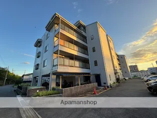 エクセランの画像