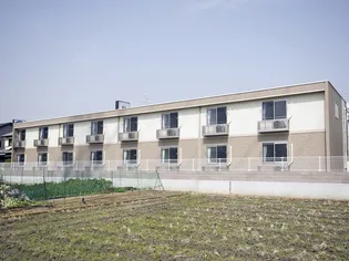 レオネクストソレイユの画像