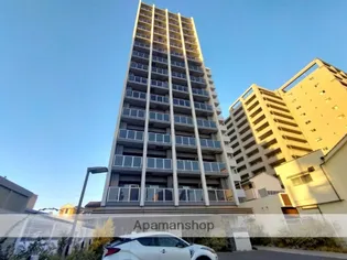 LUXENA KADOMAの画像