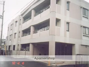 ピソ アモールの画像