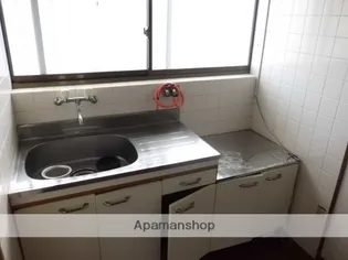 新家ハイツ【203号室】のキッチン