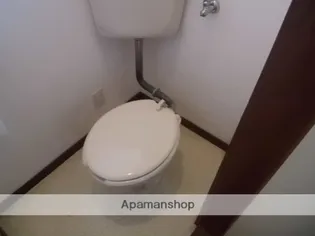 新家ハイツ【203号室】のその他画像