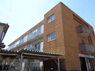 石垣ハイツ【3階】の外観