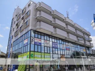 エステル津田の画像