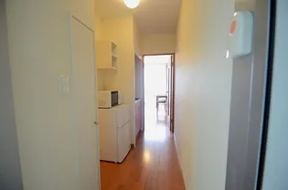 レオパレス松川【1階】の周辺