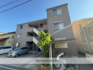 ルミエールの画像