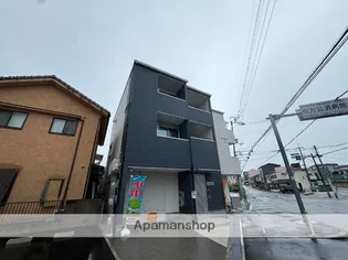 サン フローリッシュの画像