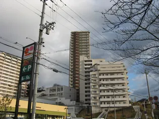 グランオーパスC棟の画像