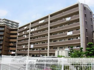 グレースコスギの画像