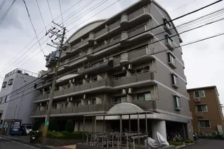 ソフィアコートの画像