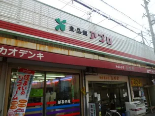 レオパレスアネックス【1階】の周辺