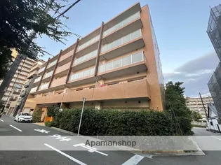 フラットライムの画像