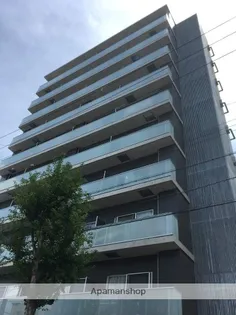 LUCE SHINFUKUSHIMAの画像