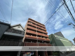 COSMO蓮井の画像