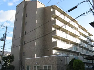 アフロディ布市の画像