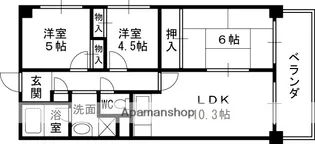 野田マンション【2階】の間取り