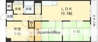 デイグランロイヤルヴィラ(旧ロイヤルマツイ)【807号室】の間取り