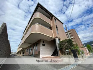 ラ ヴィスタ弥生の画像