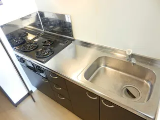 レオネクストスマイル【1階】のキッチン