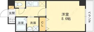 パトラ・Y【503号室号室】の間取り