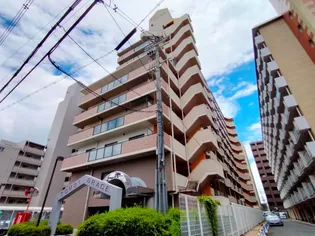 友井グレイスの画像