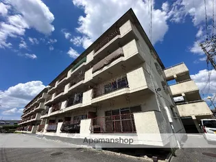 新池島ハイツの画像