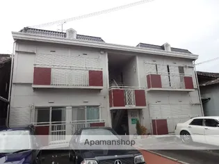 パナハイツチエの画像