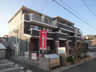 ストレリチア オーガスタの画像