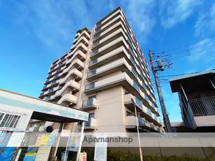 大阪府東大阪市稲田上町1丁目【マンション】の外観