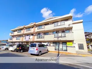 ウィスタリア藤の画像