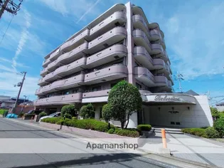 ベルヴェデーレの画像