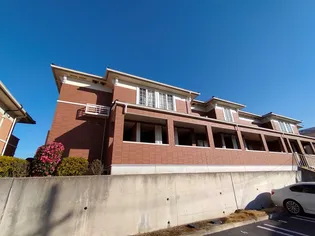 プリムローズT K Aの画像