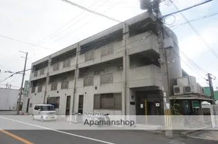 フラットカキノキの画像