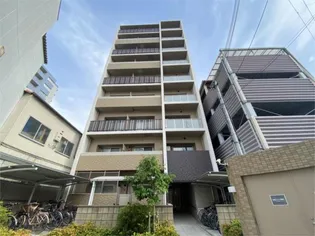 パインリッチの画像