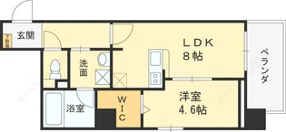 プラチナコート【7階】の間取り