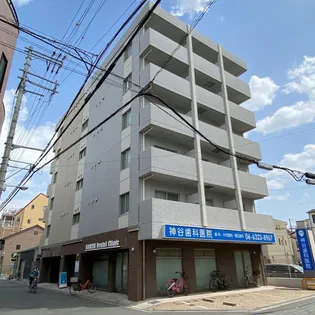 ライフロードの画像