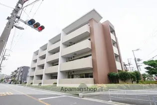 シャトレ秋桜の画像